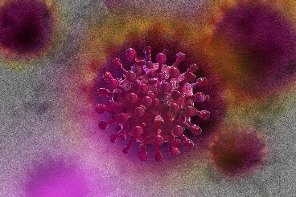 image Our View: Hit-and-miss Covid information only leads to questions