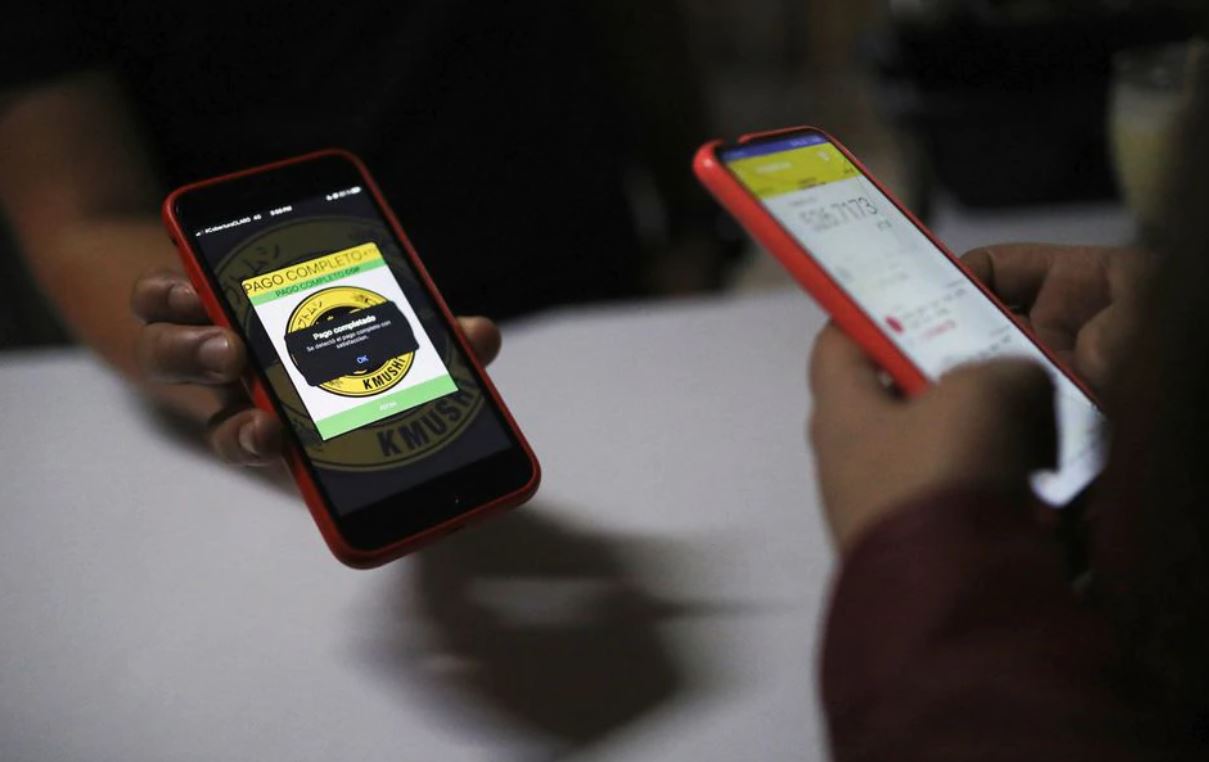 image Colombian beetles exported to Japan with help from cryptocurrency
