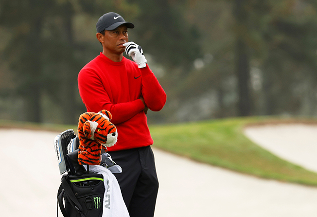 image Tiger fighting to return, &#8216;grateful&#8217; to have life and leg