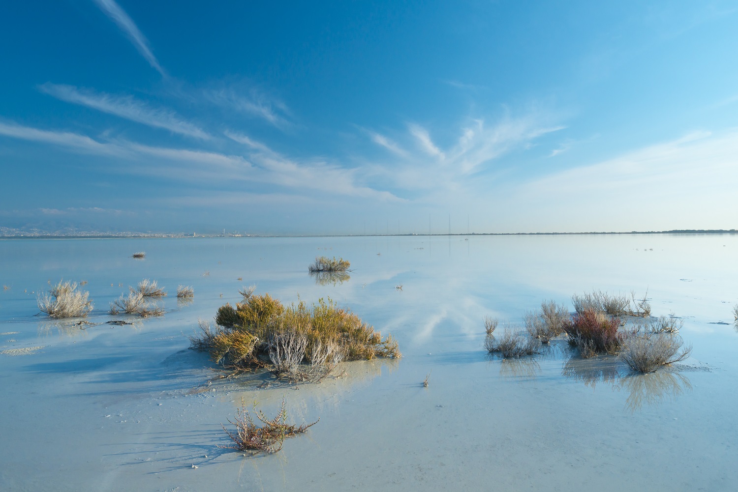 image Stop the rot: environment lessons Cyprus has to learn