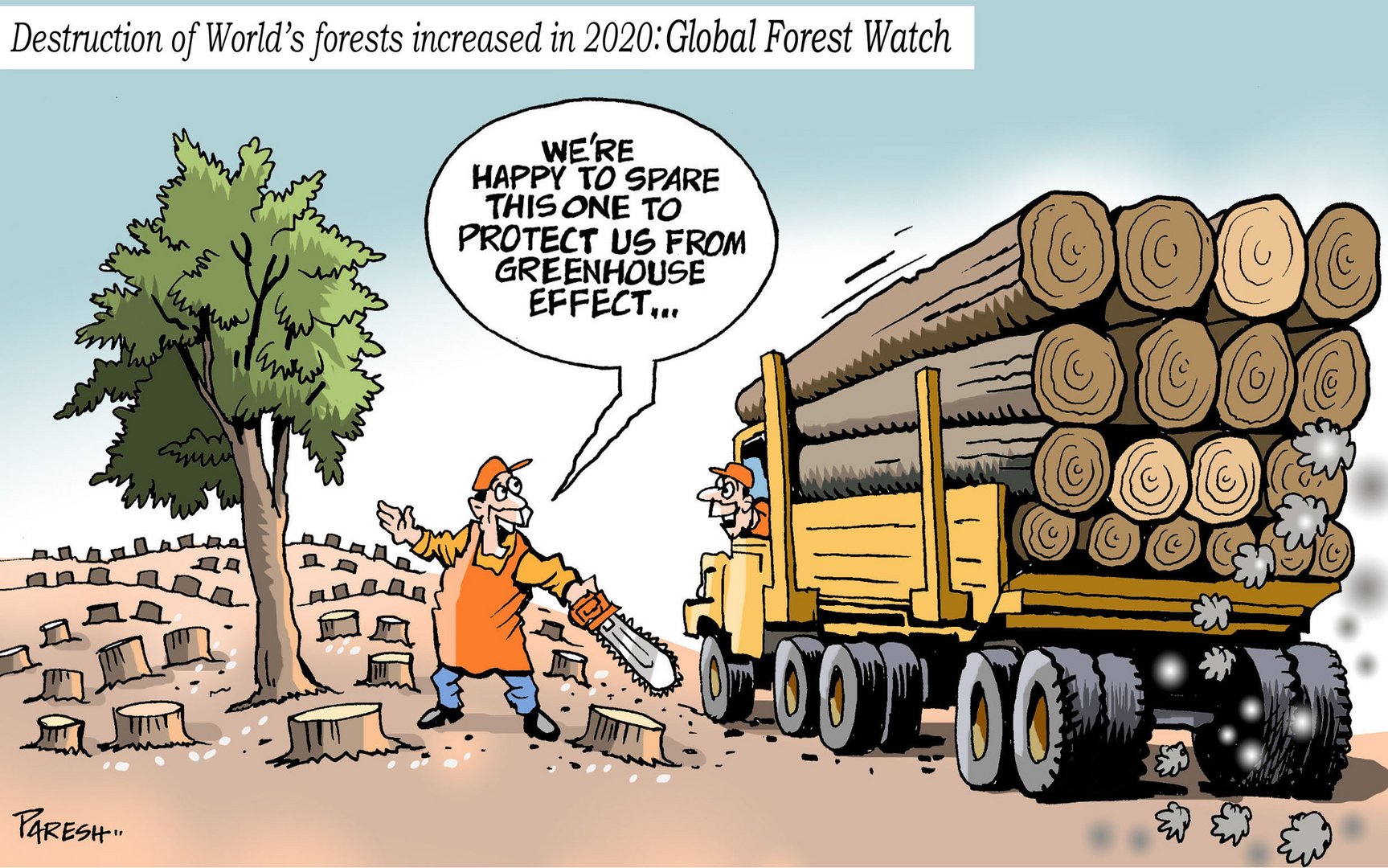 loss of rainforests