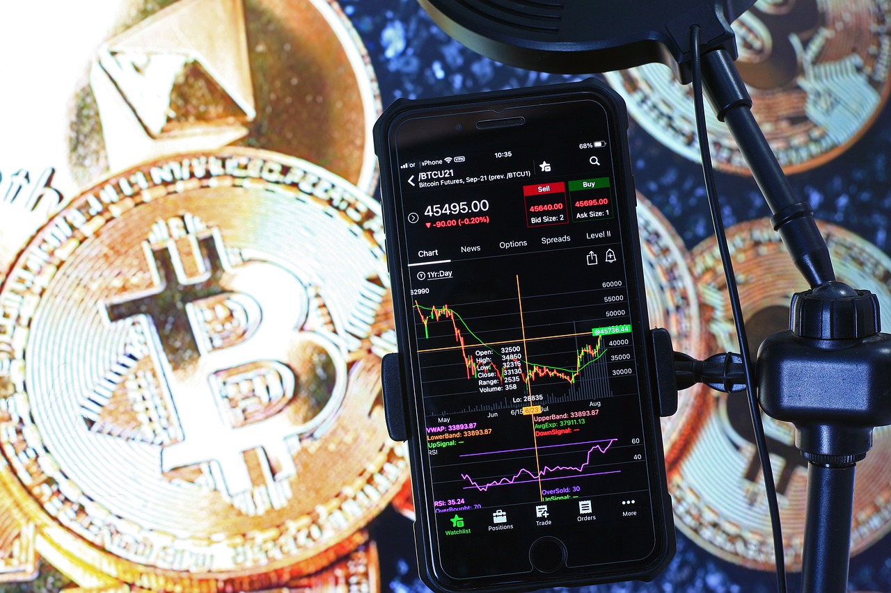 image How Bitcoin adoption impacts the developing world
