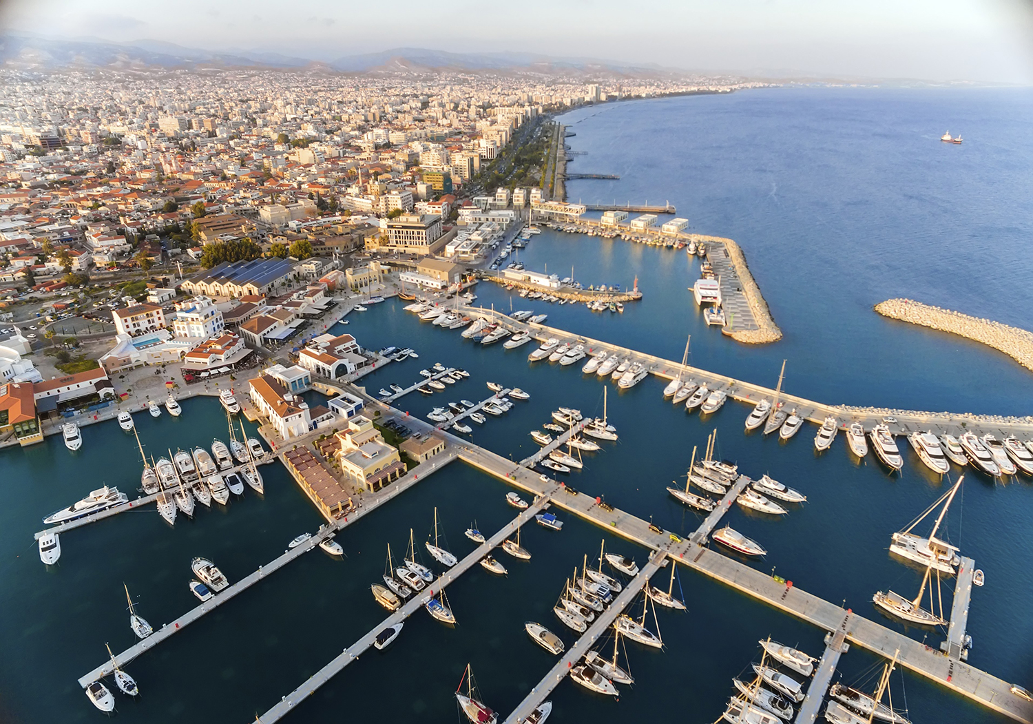 image Cyprus Business Now