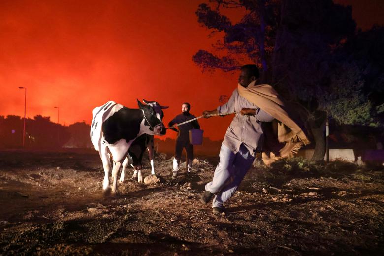 downloadaugust in the mediterranean, a hot and dry summer fanned intense blazes that forced thousands of people to evacuat