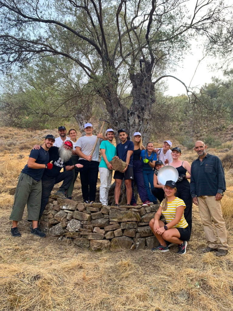 feature paul terract initiative works with dry stone walling to protect the ancient trees
