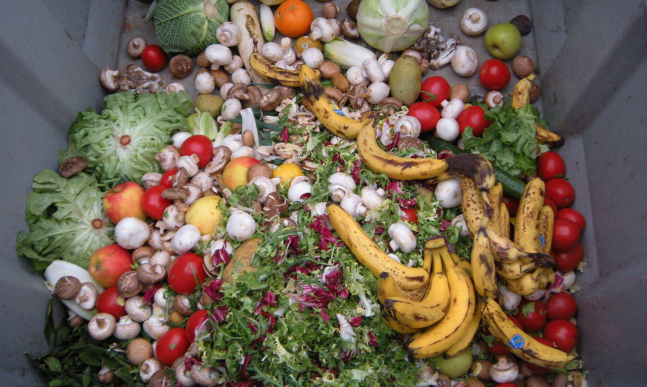 image Cyprus near bottom in EU for recycling