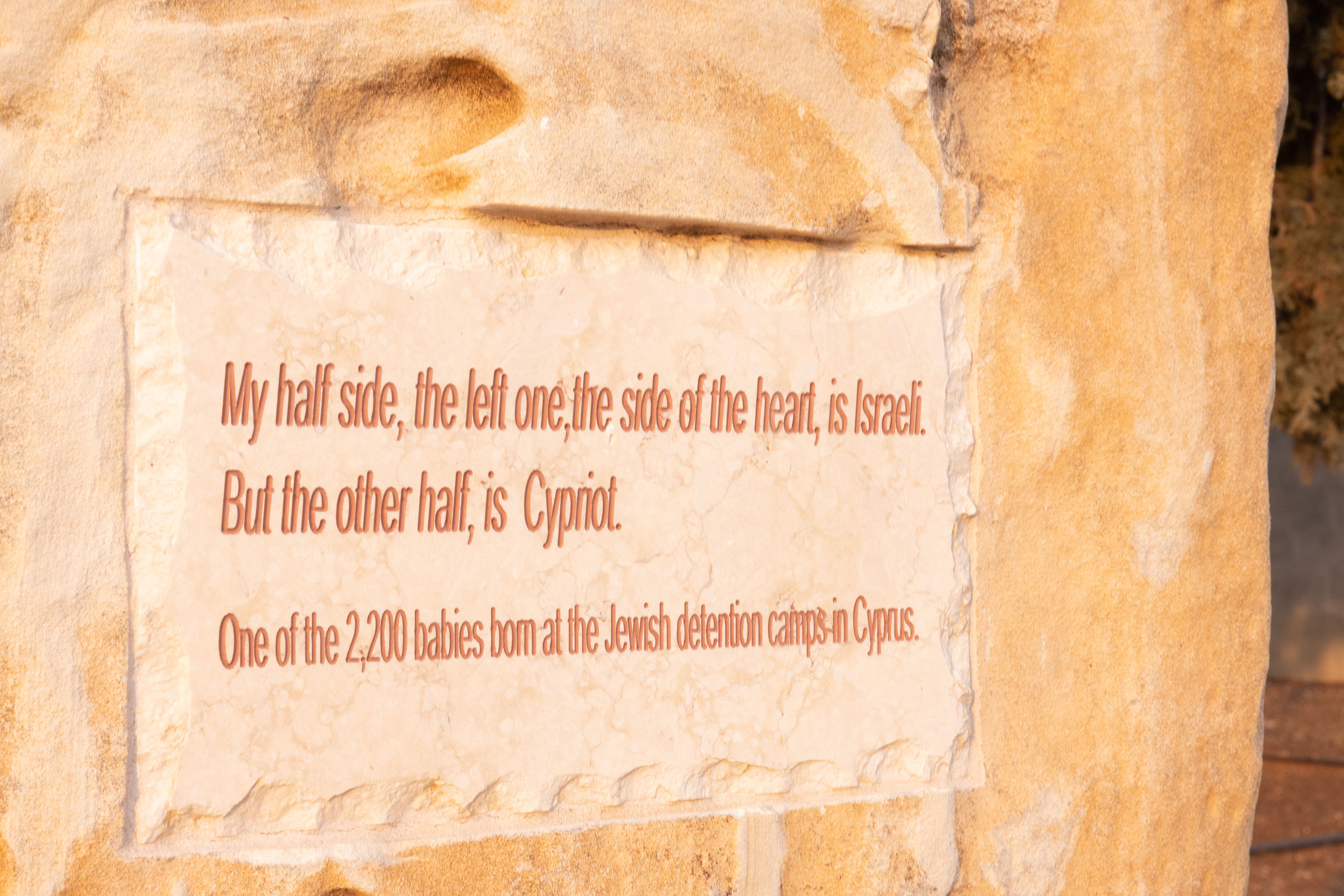 image Cyprus marks Holocaust Remembrance Day