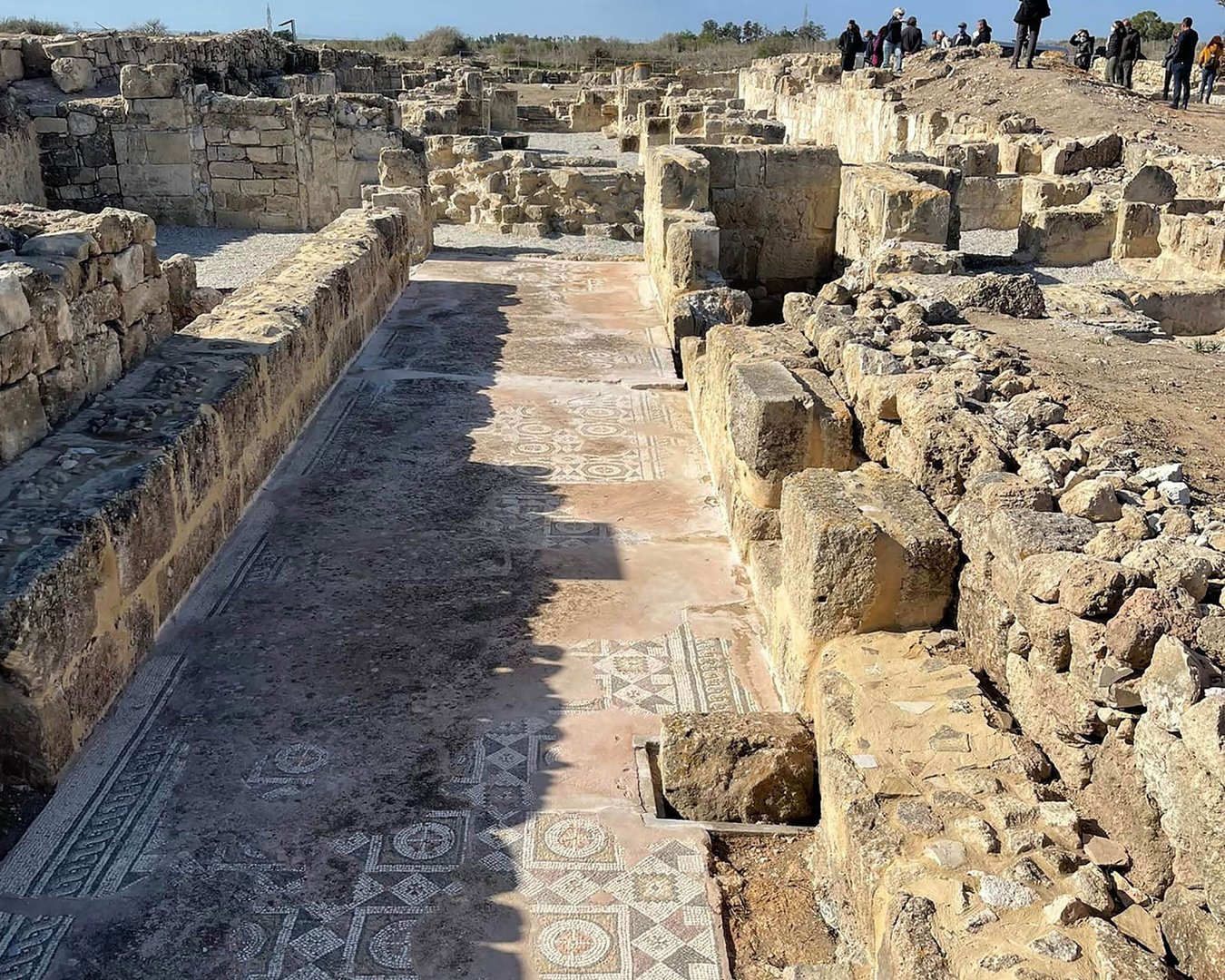 image Protection of Salamis mosaics named as among committee’s significant works
