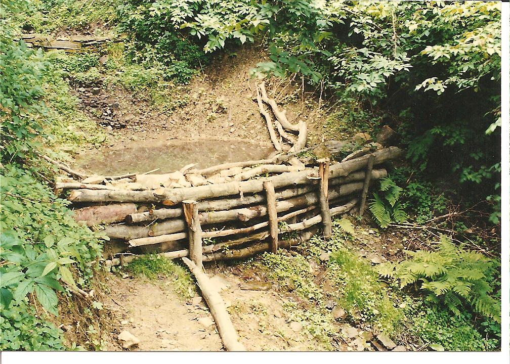 slovak projject 1995