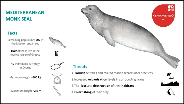 the mediterranean monk seal facts and threats
