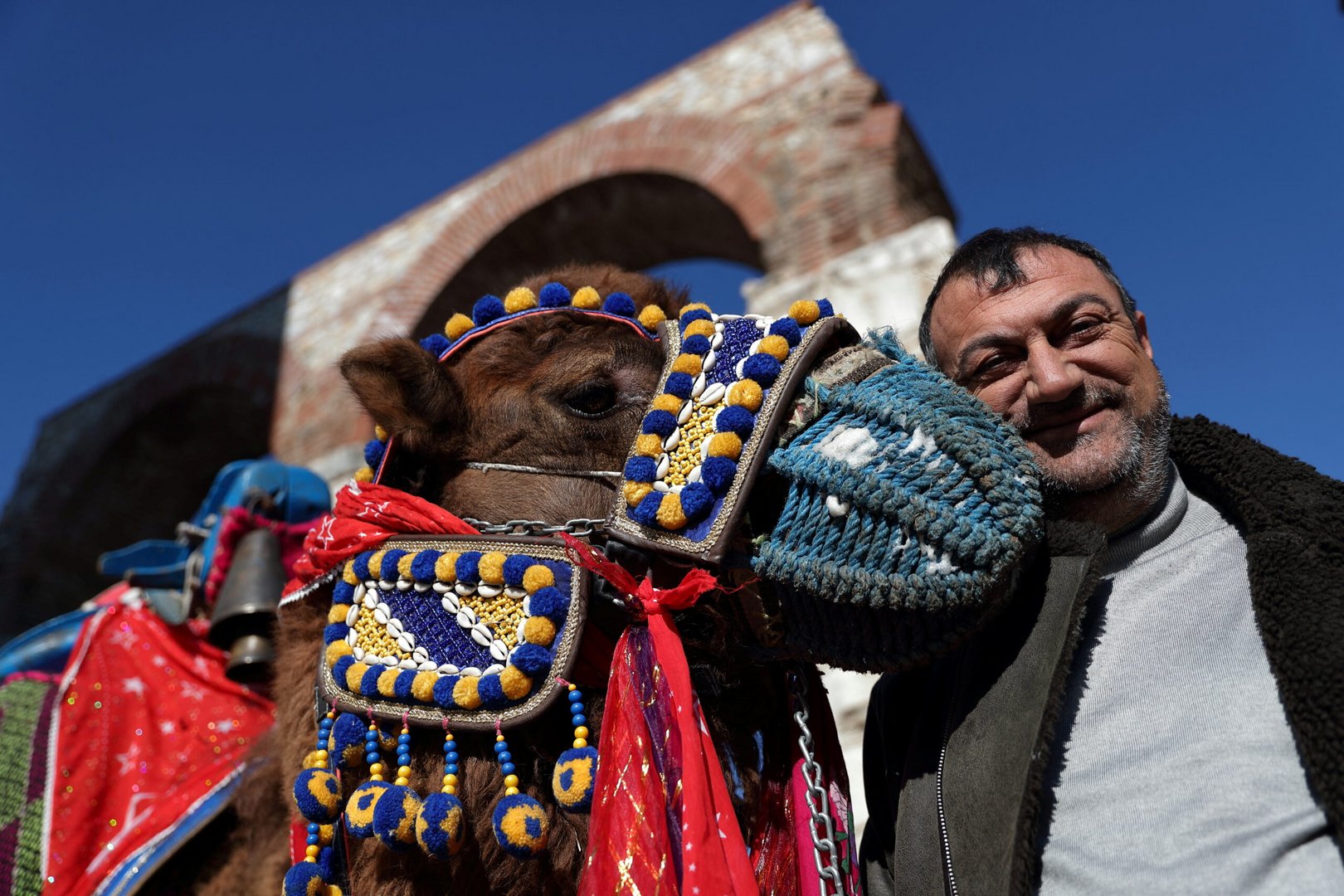 camel wrestling festival in western turkey