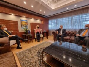 annita demetriou selk cyprus mail tax reform