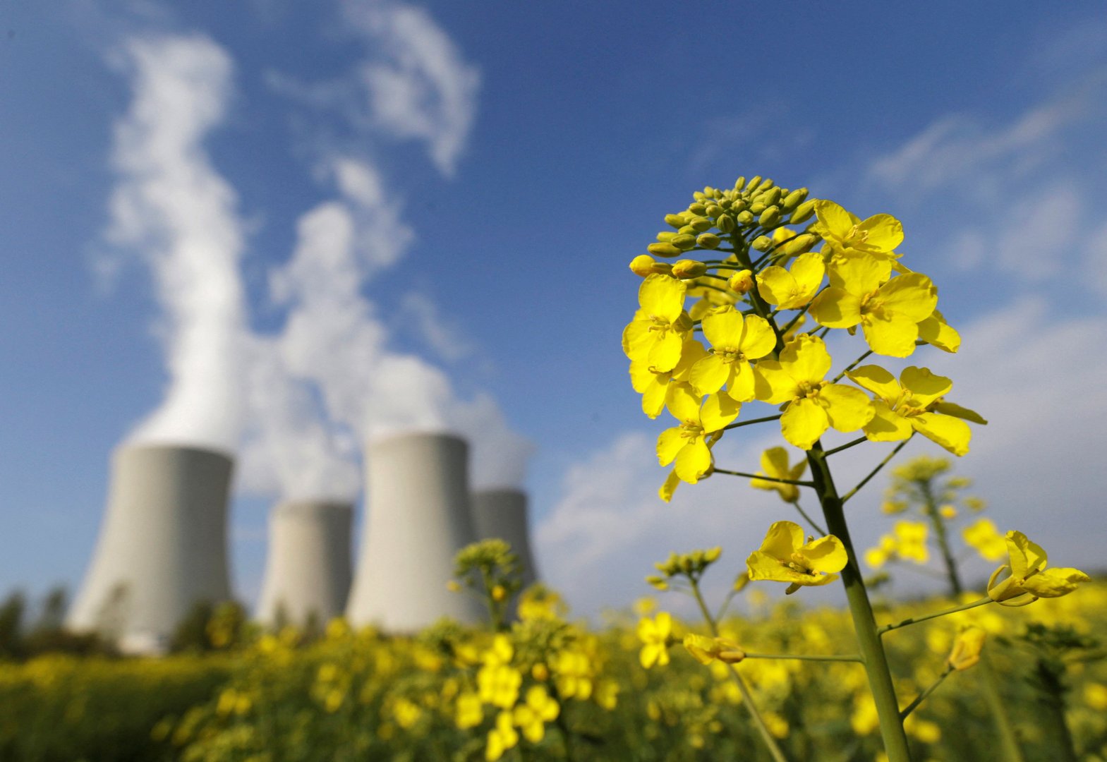 image Nuclear power: the missing piece of the puzzle