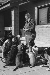 feature bejay maria christina patala from assistance dogs cyprus