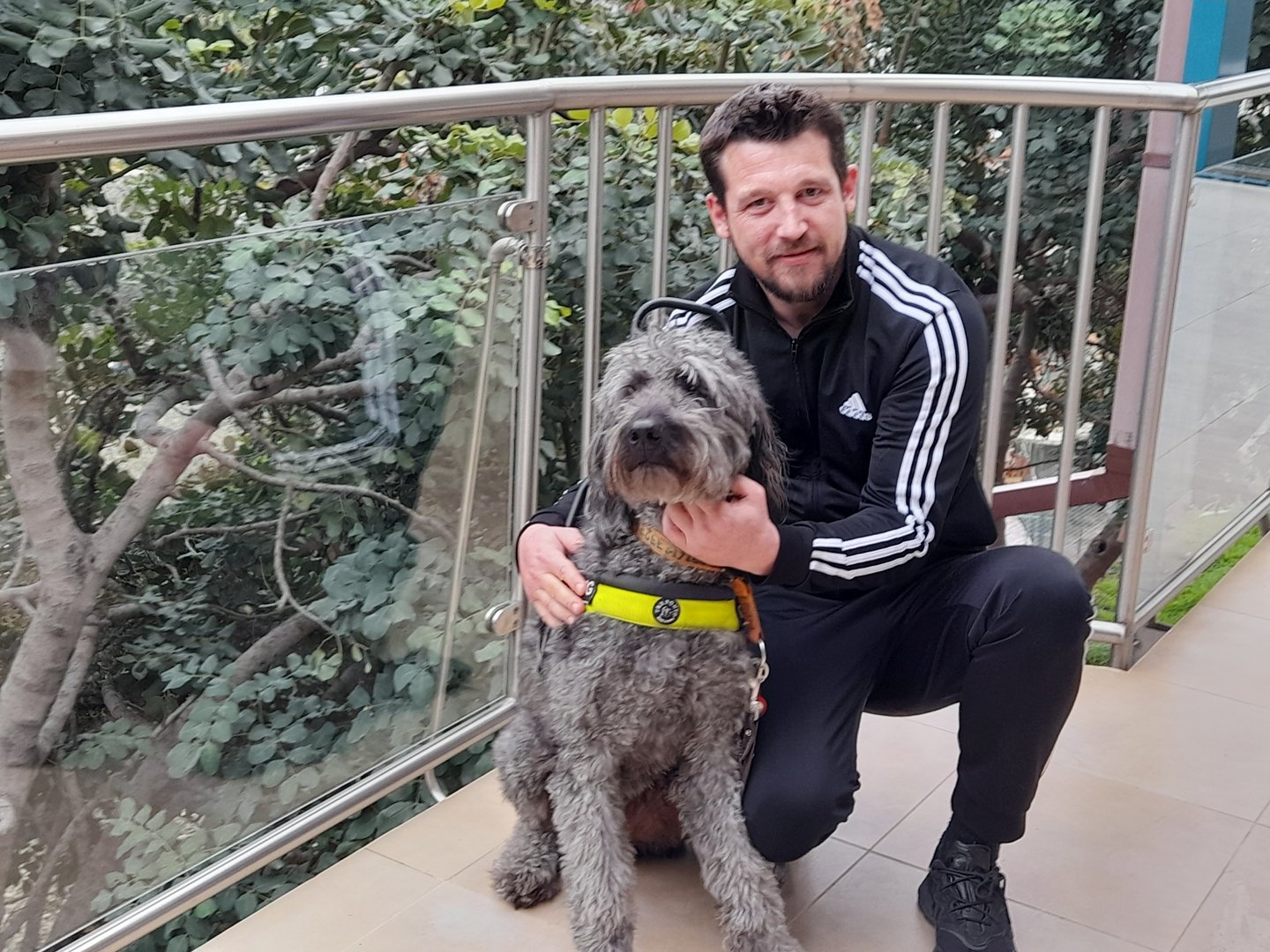 image When a dislike of dogs simply goes too far