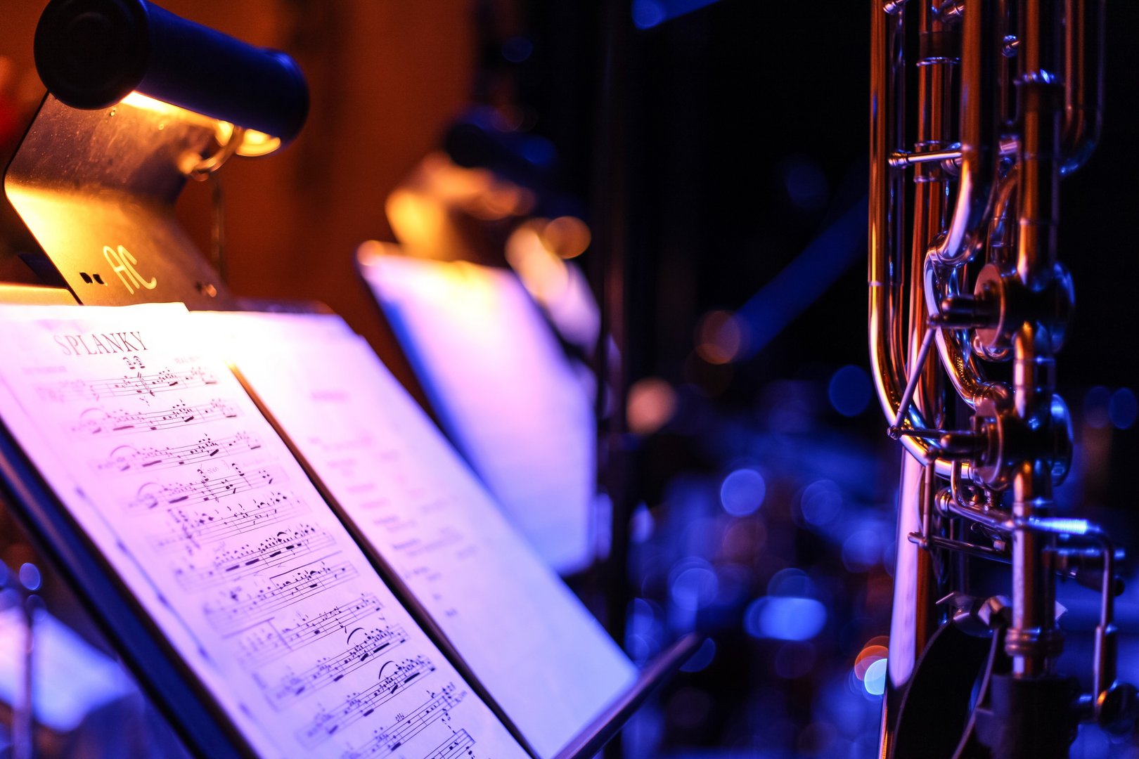 image Legal framework expected for dance and music schools