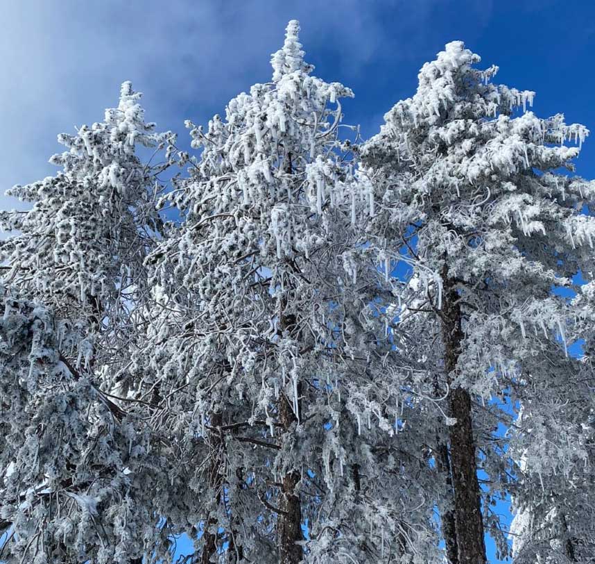 image Rain and snow over Christmas, colder on Boxing Day