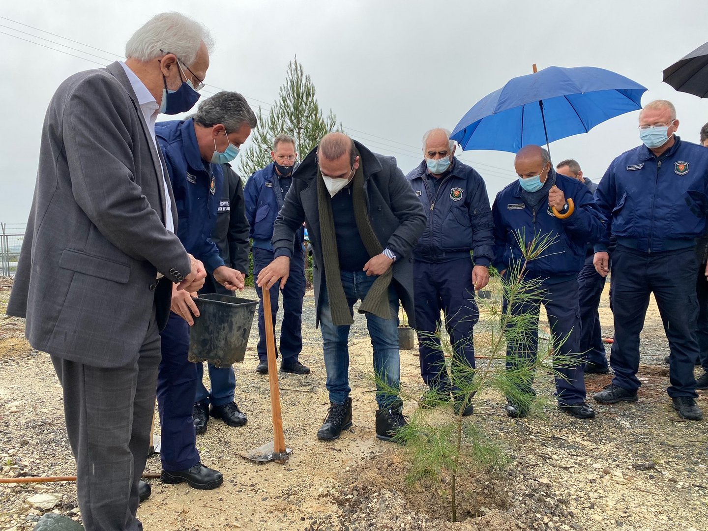 image Cyprus seeking carbon neutrality by 2050