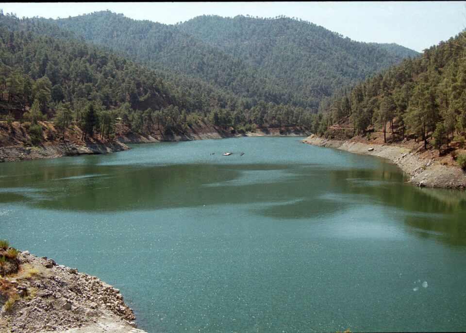 cover Xyliatos farmers warn crops dying amid water shortage
