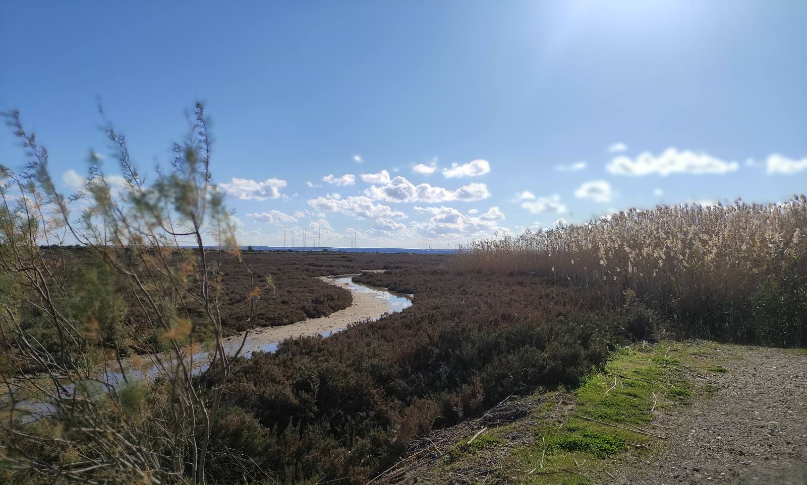 image NGOs come together to mark World Wetlands Day