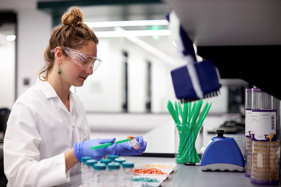 image Farmers test microbes to nourish crops as climate pressure grows, costs rise