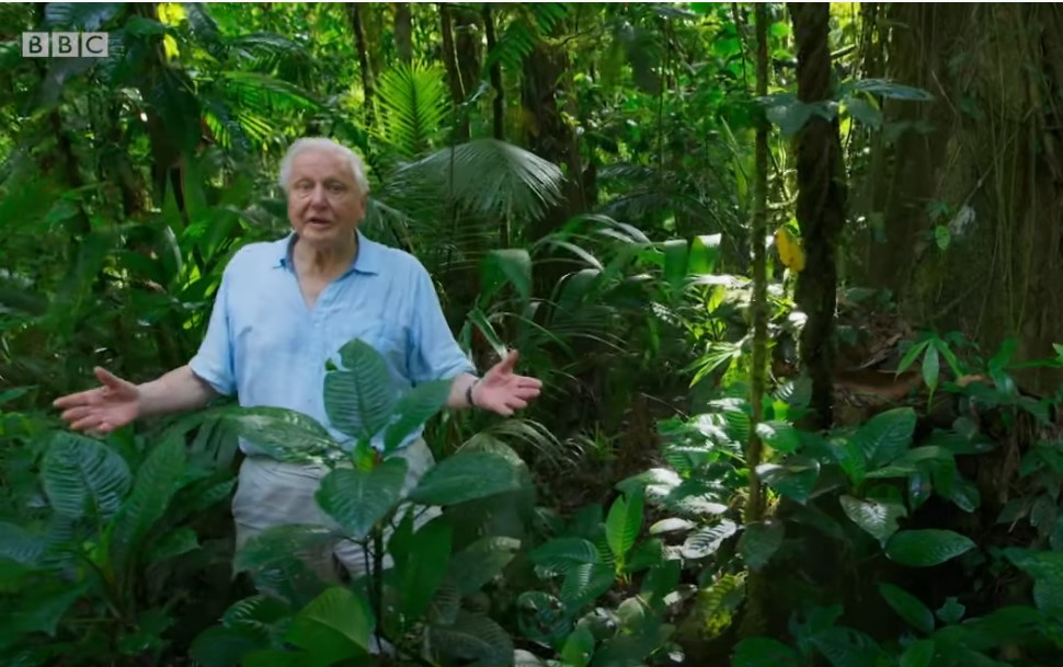 image TV shows we love: The Green Planet by Alix Norman