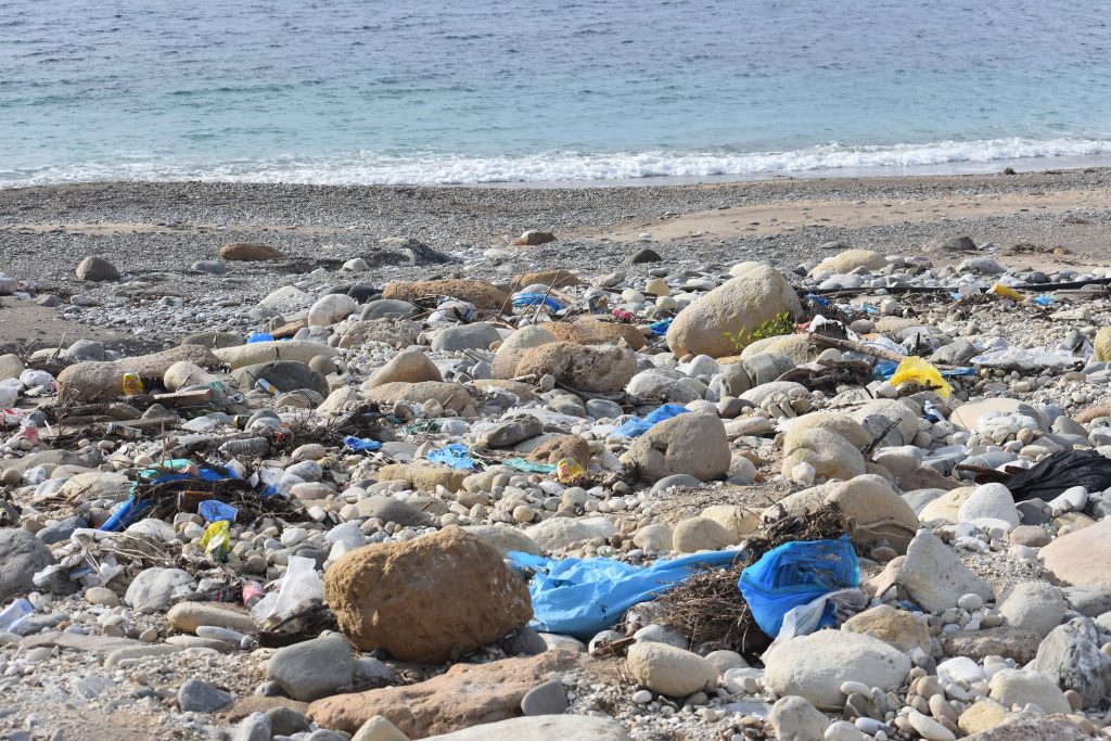 image Fly tipping in Akamas underlines need to protect the area, Greens say