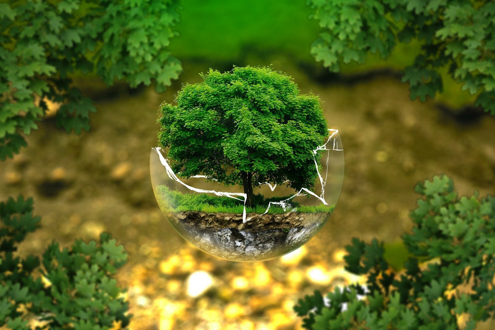 image Sustainable strategies fostering company longevity