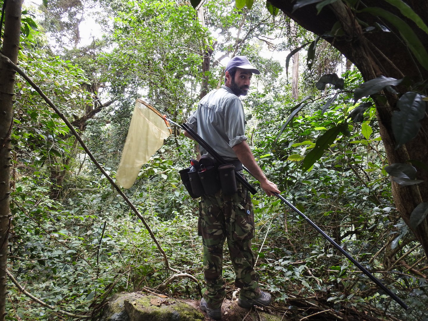 image Local entomologist on a mission to highlight the value of insects