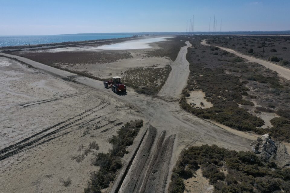 image Saving the wetlands