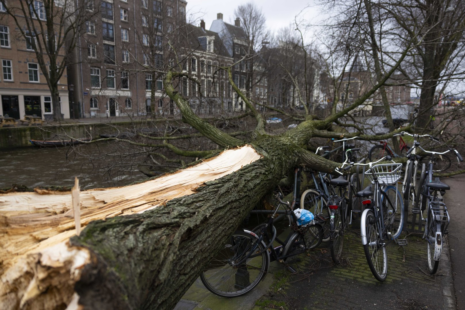 image Storm Eunice batters Europe, killing at least 9 (Update)
