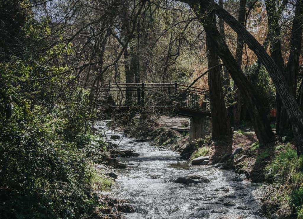 image Cyprus has low levels of medicinal contamination in its rivers, study shows