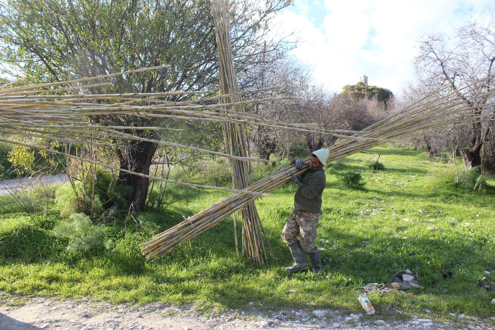 image Green villages and ‘sustainability in a basket’