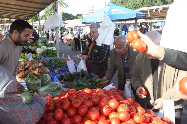 image Cheese, fish, veg and gas see biggest price hikes in past month