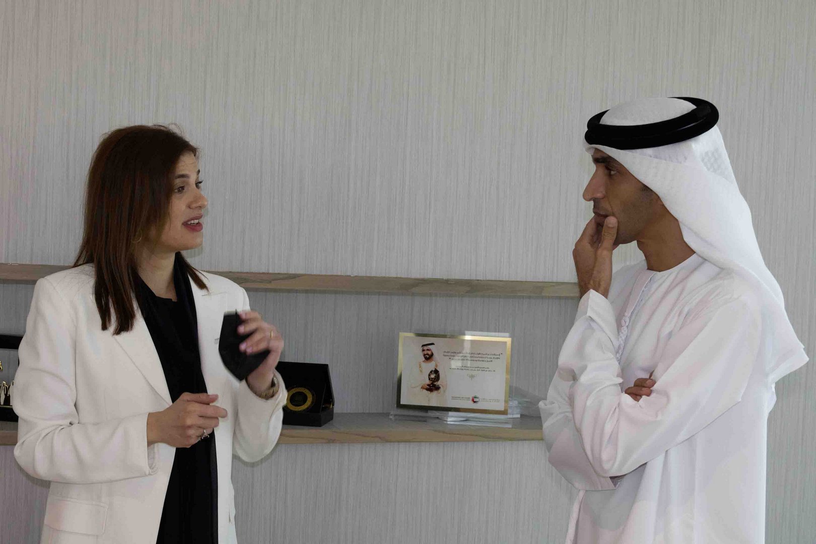 image Trade, defence, investment top the agenda of cabinet’s UAE visit
