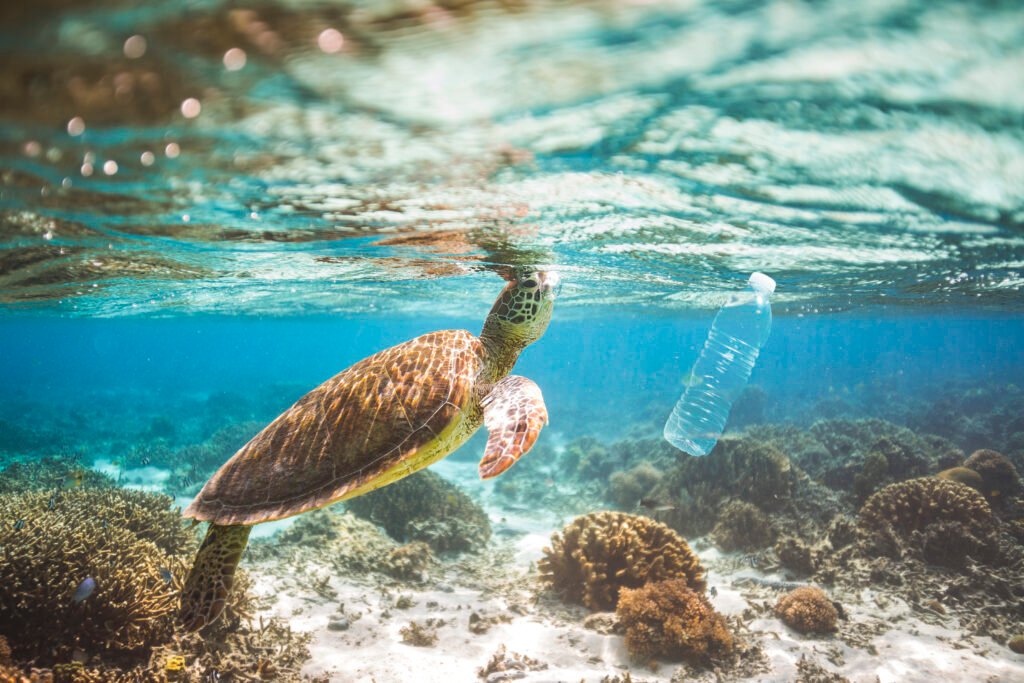 image Plastics clampdown is key to climate change fight, EU environment chief says
