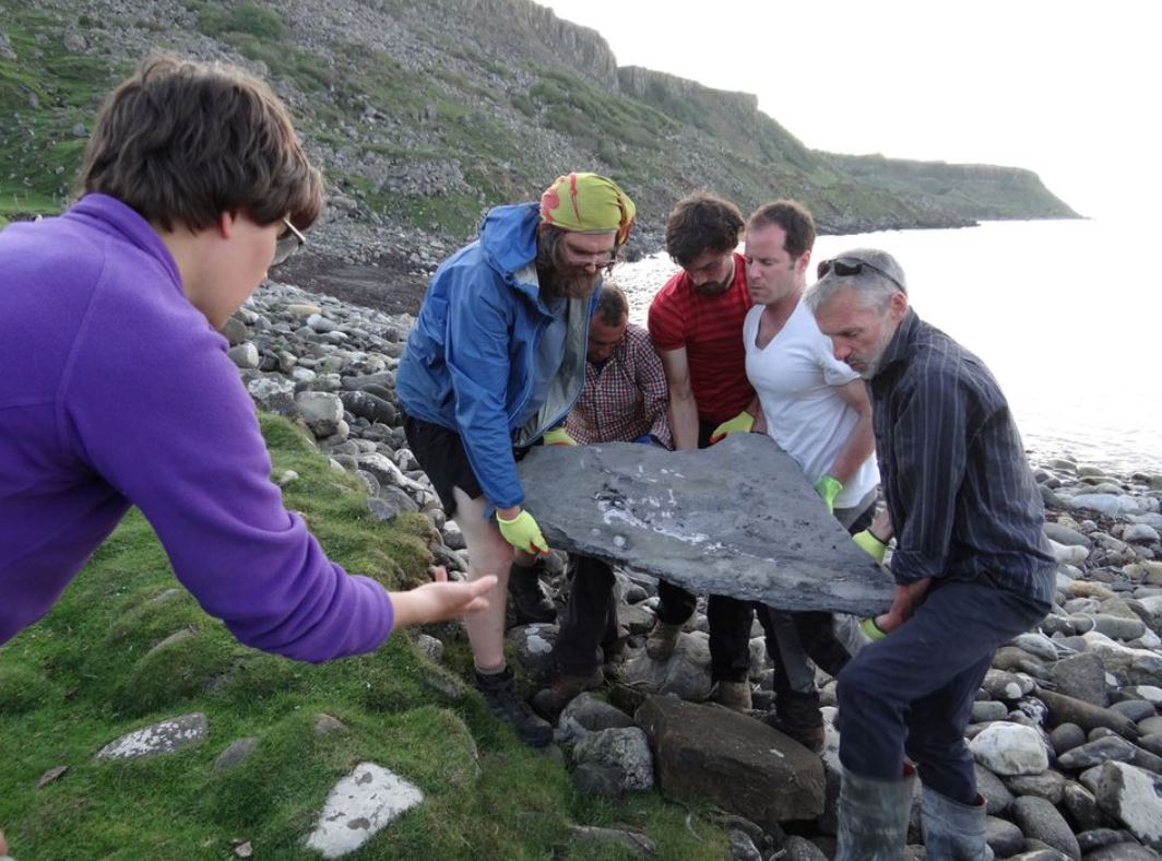 image Scottish fossil of flying reptile leaves scientists ‘gobsmacked’