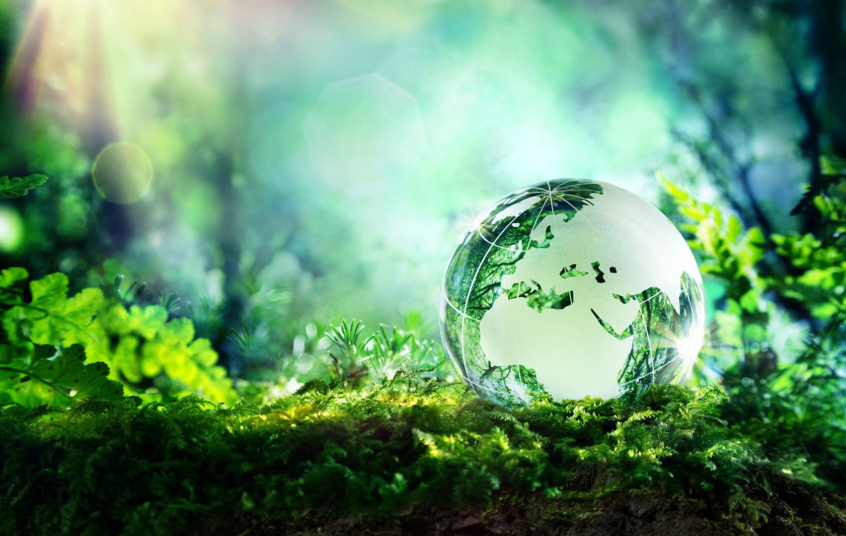 image CSR Cyprus – Creating, raising, and promoting CSR awareness