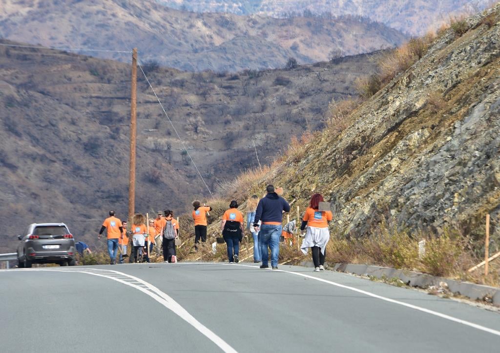 image ‘Exhausted’ forestry department staff continue work to rule