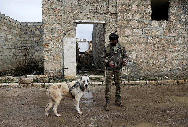 image Syria war escalating, more probes needed into civilian casualties