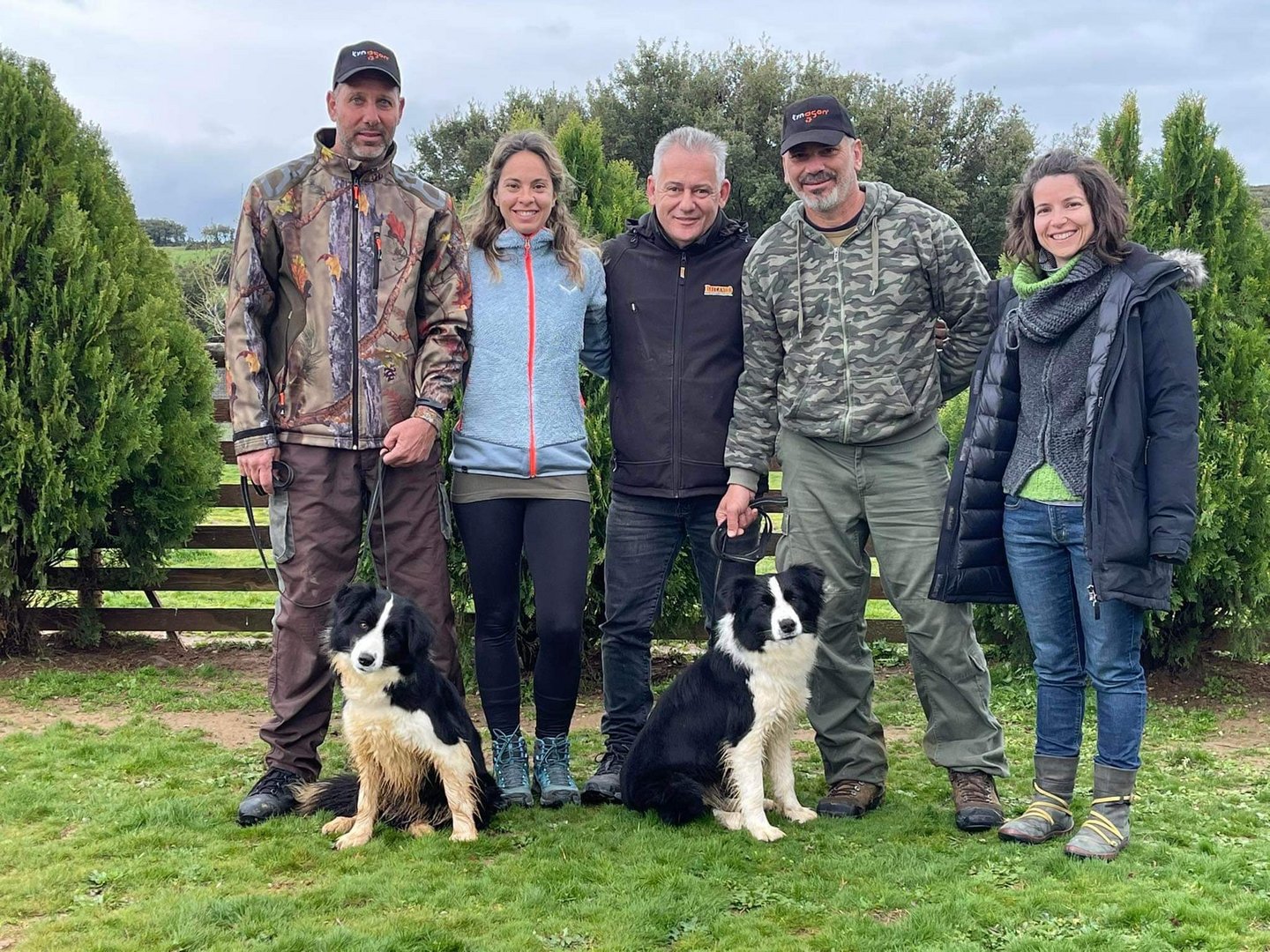 image Saving vultures: dogs to the rescue