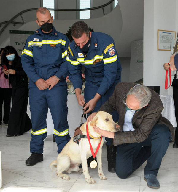image Animal welfare awards spotlights work of individuals and organisations