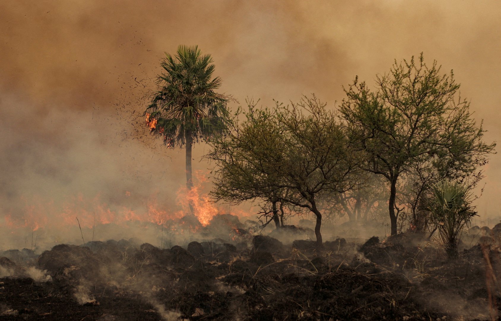 image UN climate report: &#8216;delay means death&#8217;