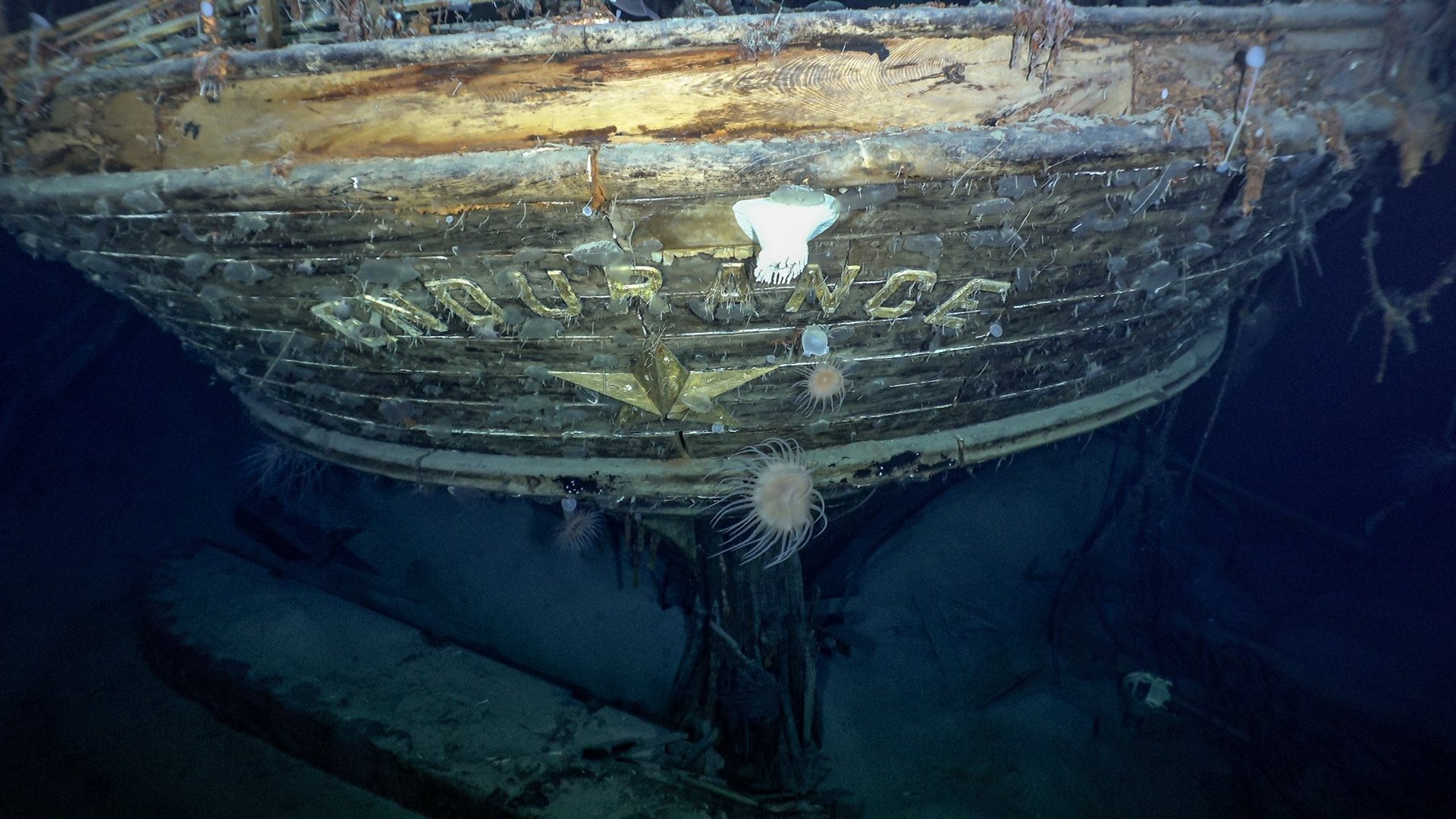 image Shackleton&#8217;s ship &#8220;Endurance&#8221; finally found beneath Antarctic ice, 100 years on
