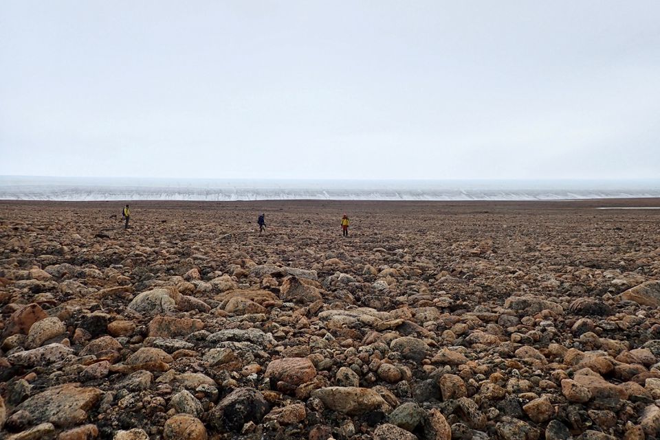 image Meteorite gouged huge Greenland crater 58 million years ago