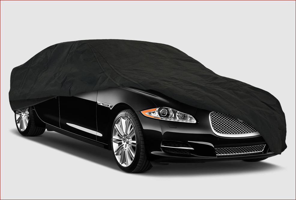 image Two car accessories to protect your car in Spring