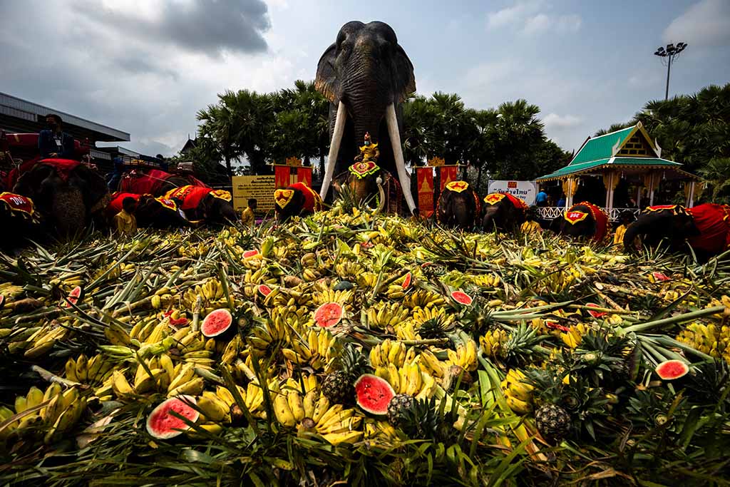 image Thailand lays out buffet for elephants in national celebration