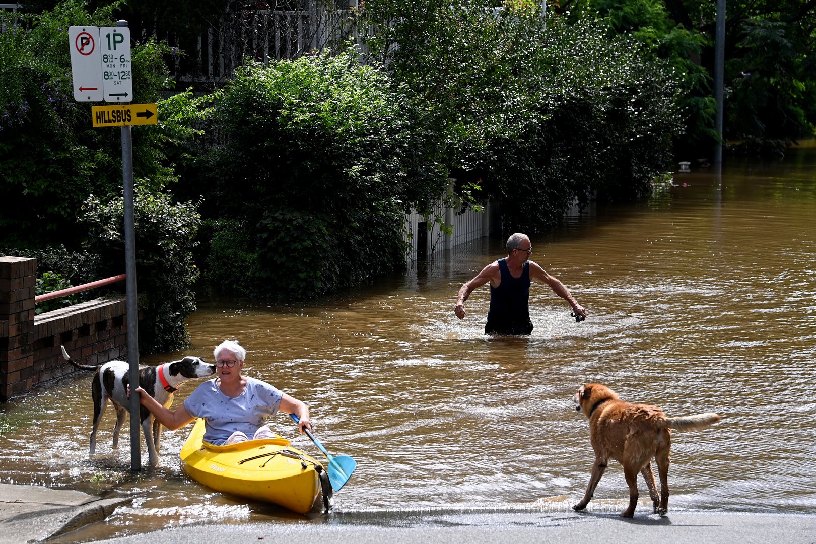 image Australia to declare east coast floods a national emergency