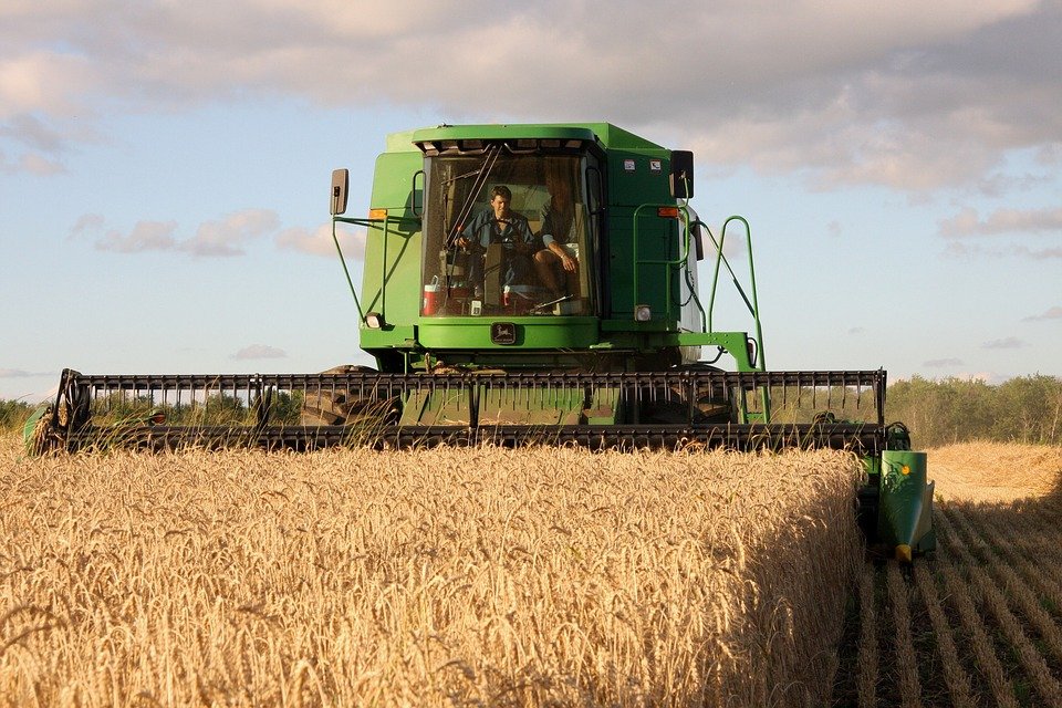 image ‘No magic wand’ to quickly secure grain supplies, clock ticking