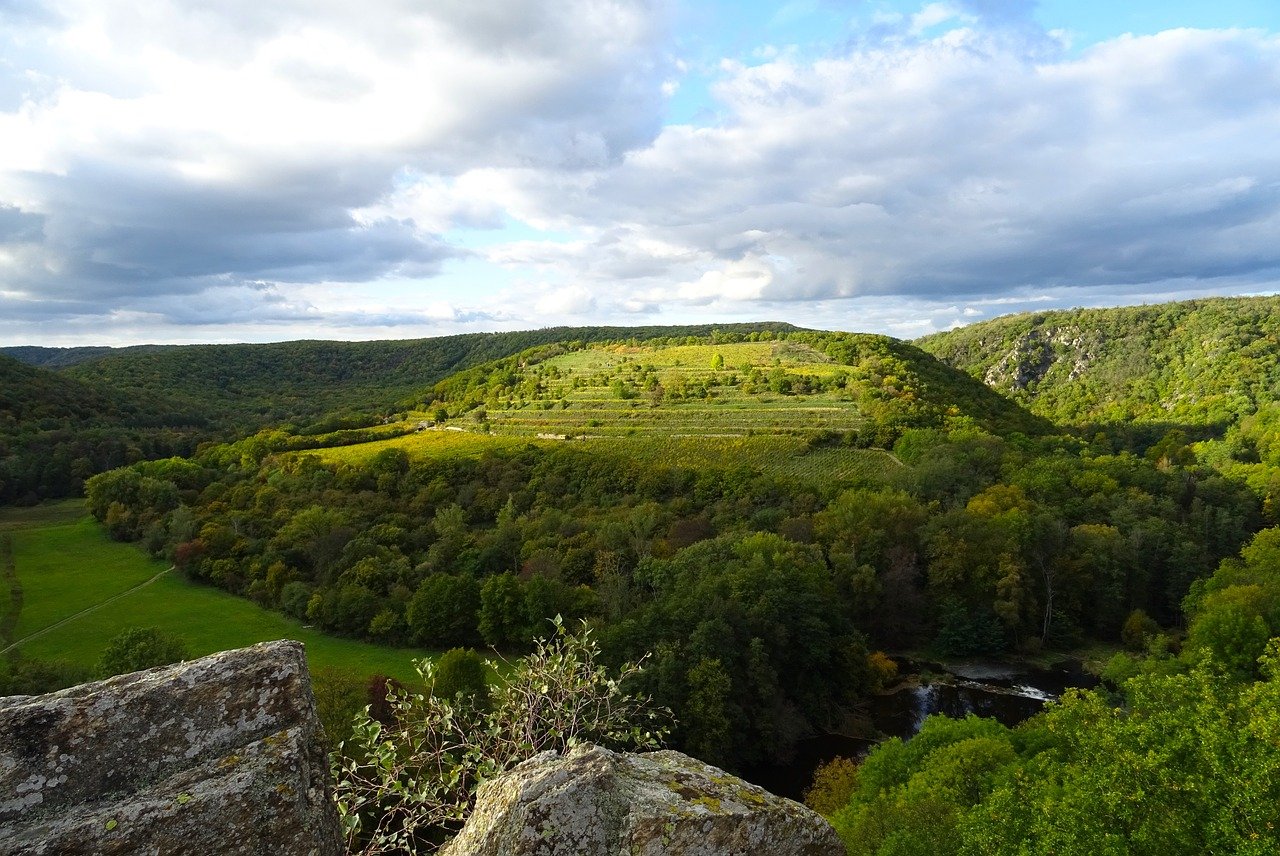 image Data from thousands of surveillance cameras confirms that protected areas safeguard species diversity